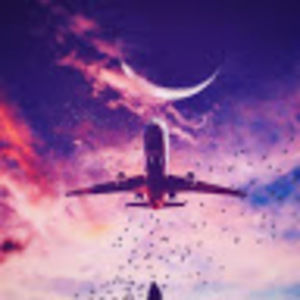 Meet your Posher, Lia